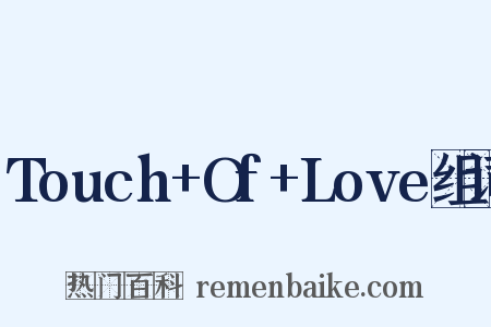 Touch+Of+Love组词是什么意思的图片